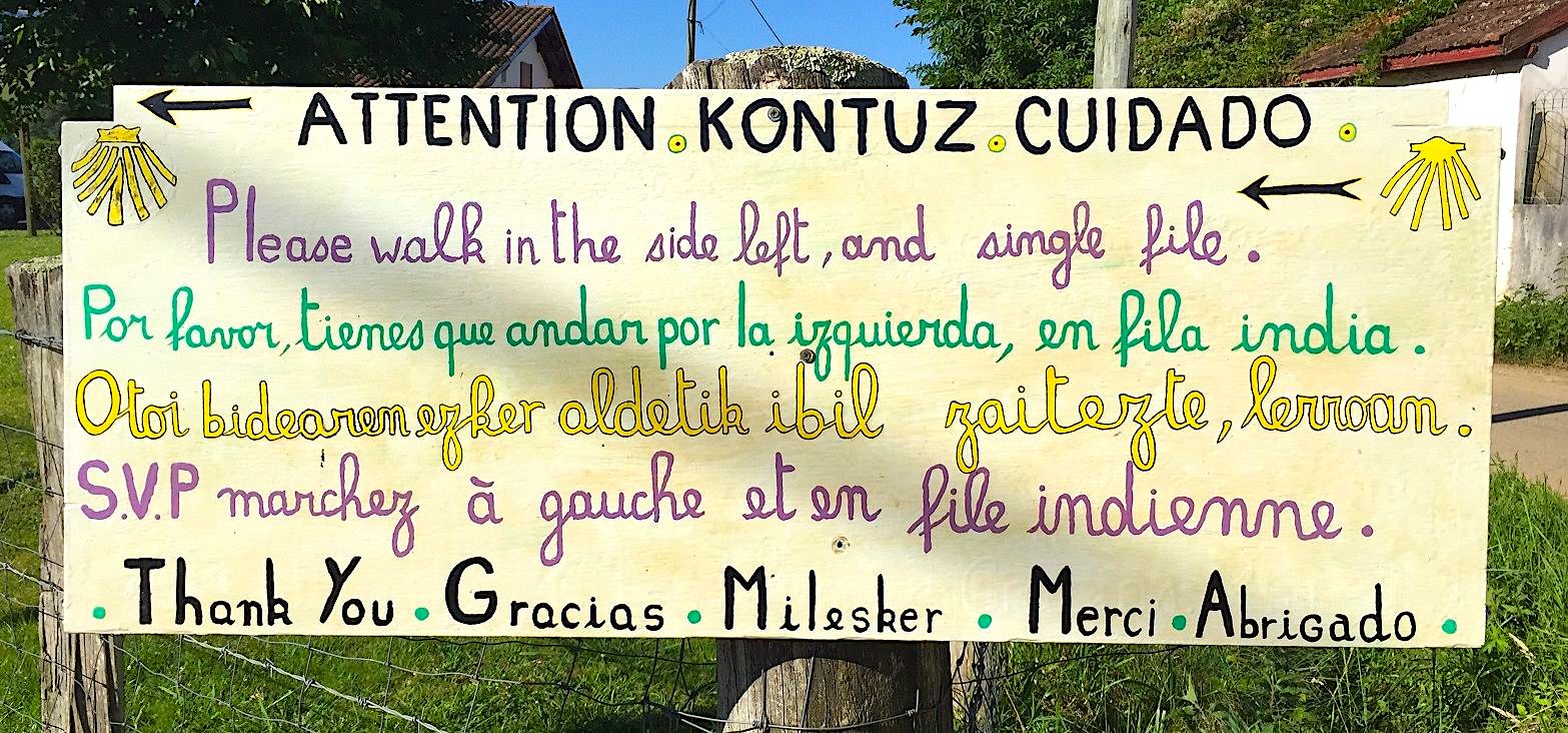 Etapa 1 del Camino de Santiago