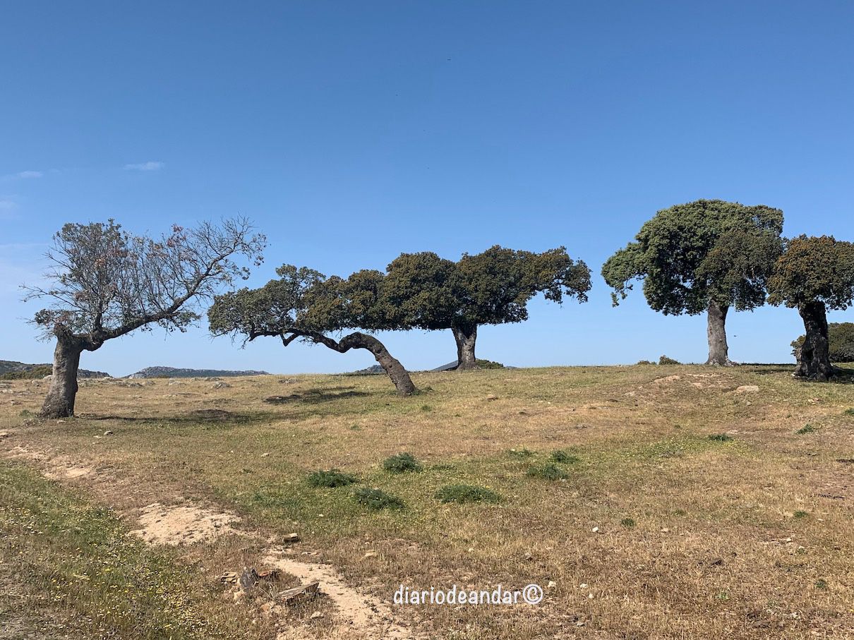 Canchos de Ramiro y Ladronera
