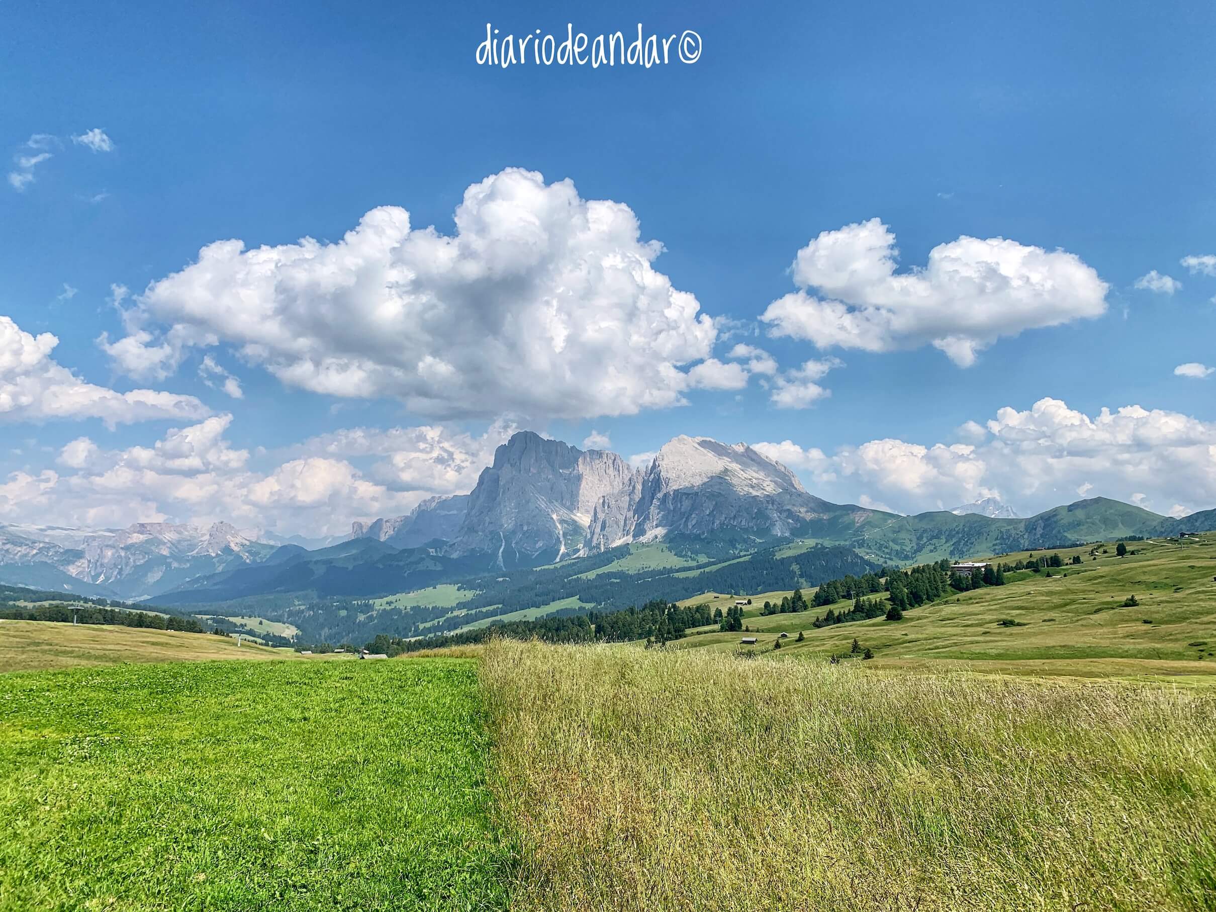 Road trip en Dolomitas, vistas del Sassolungo desde Alpe di Siusi.