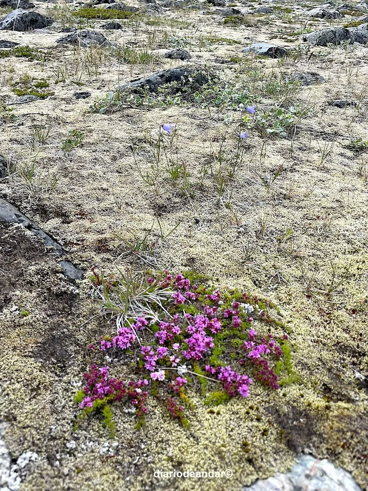 El valle de las Mil Flores