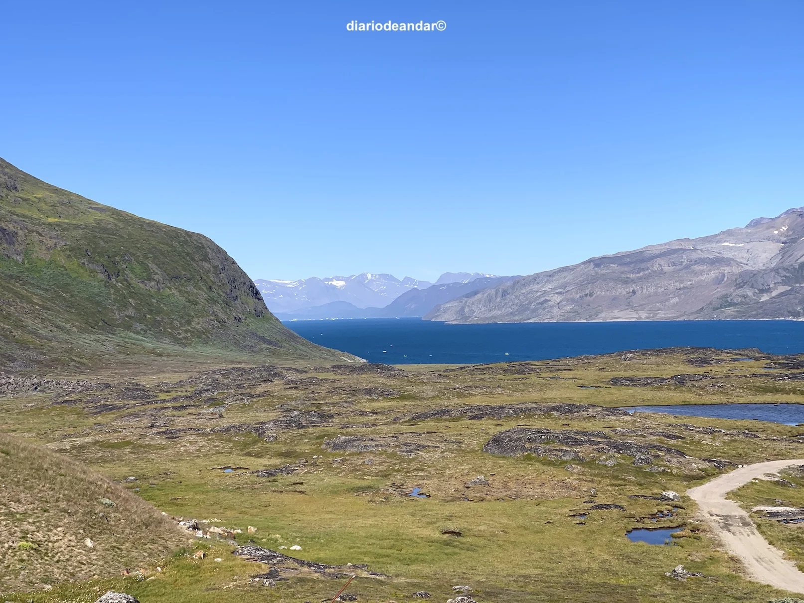 Narsaq