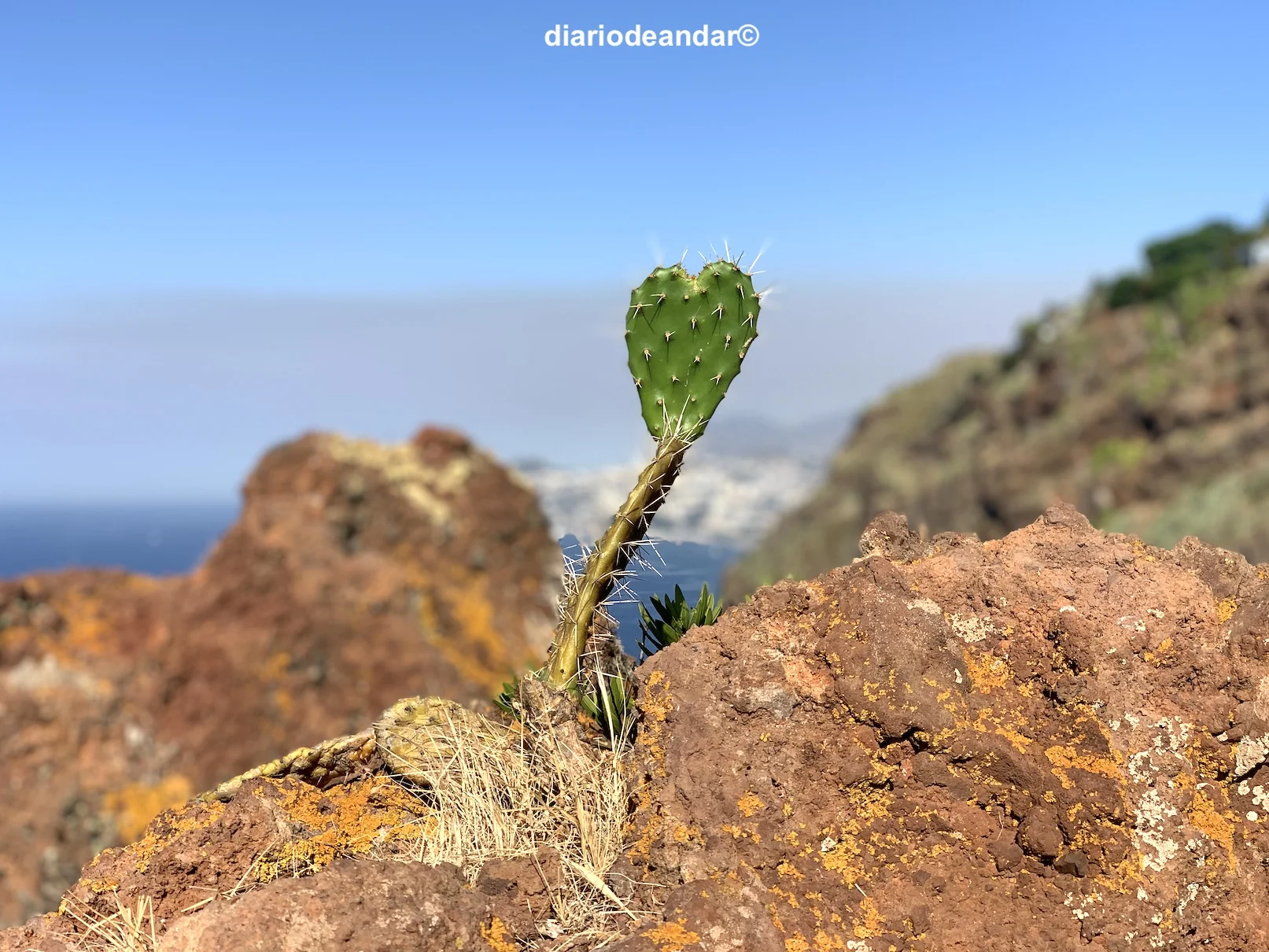 Qué ver en Madeira
