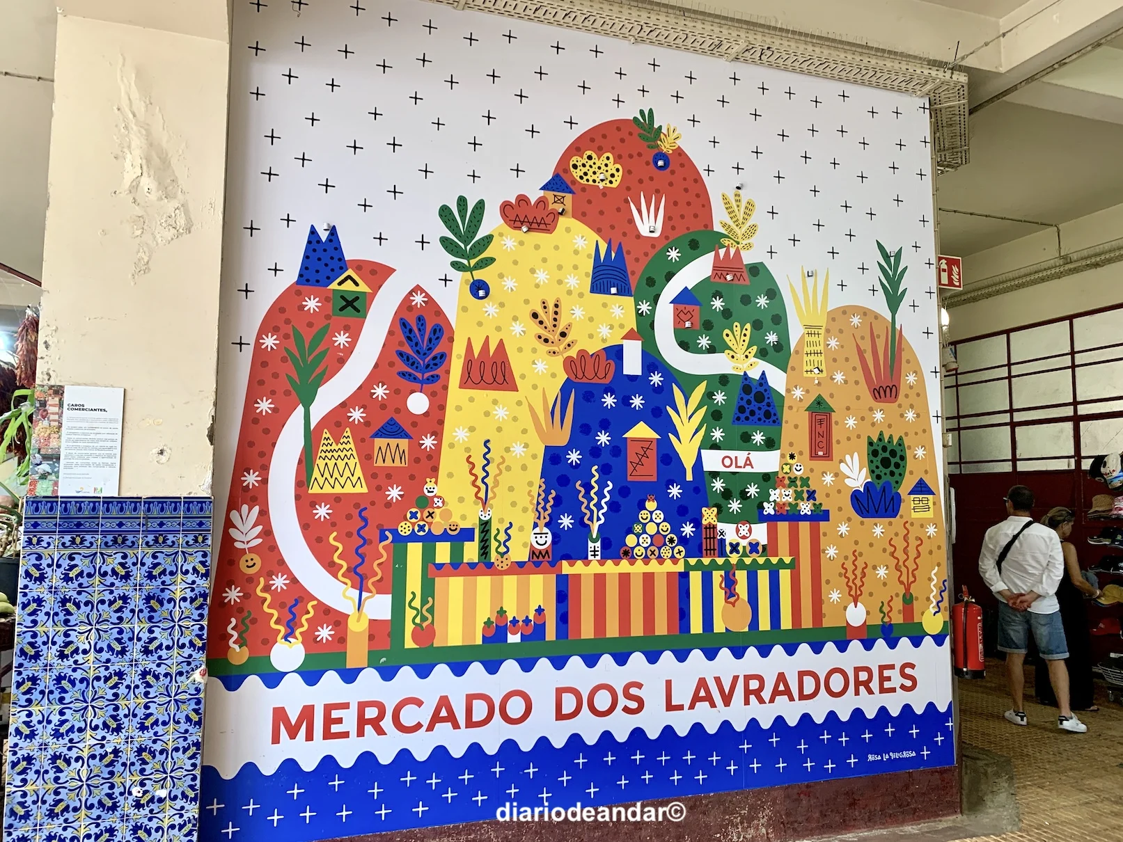 ¿Qué ver en Madeira?