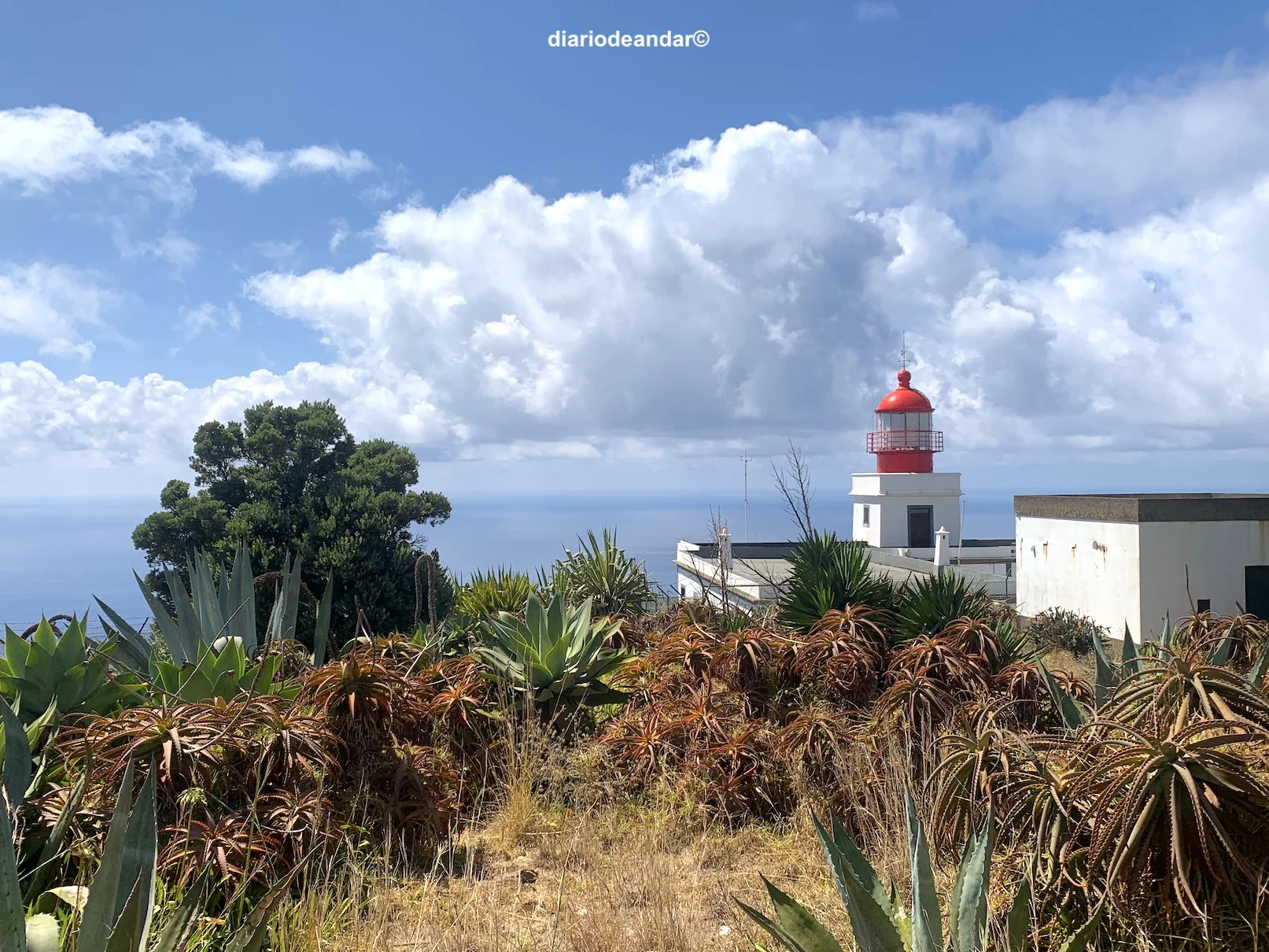 Qué ver en Madeira
