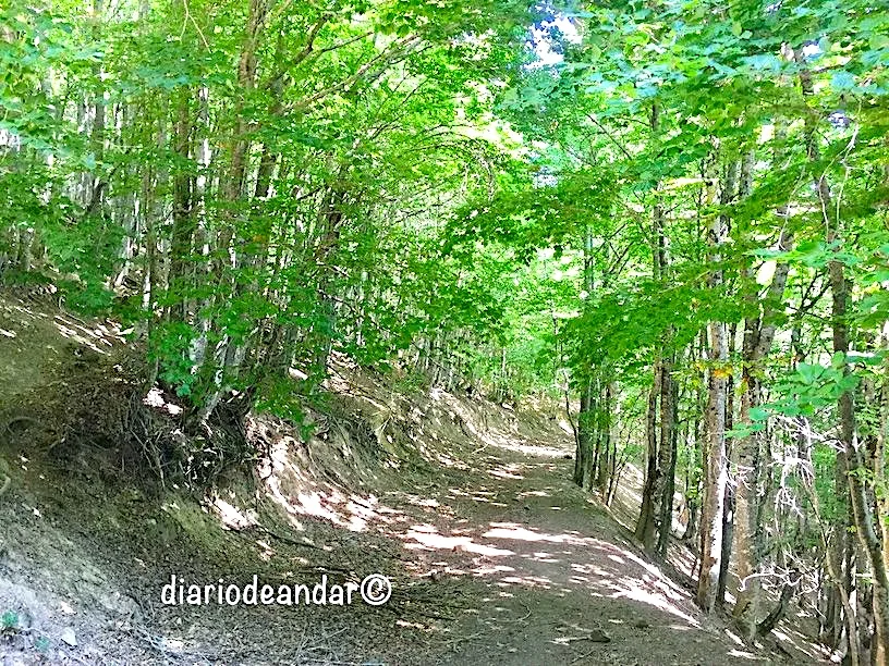 Senda Pirenaica. Etapa 6
