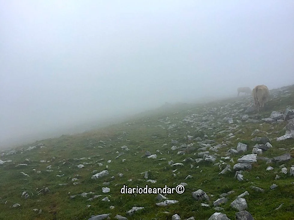 Senda Pirenaica Etapa 5