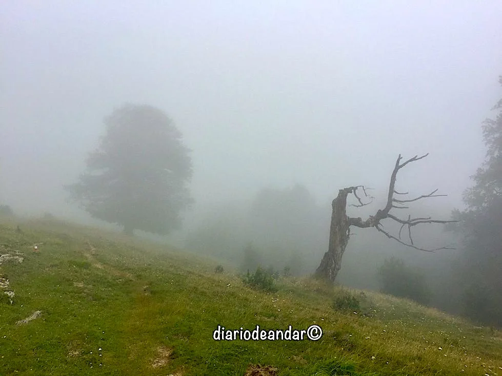 Senda Pirenaica Etapa 5