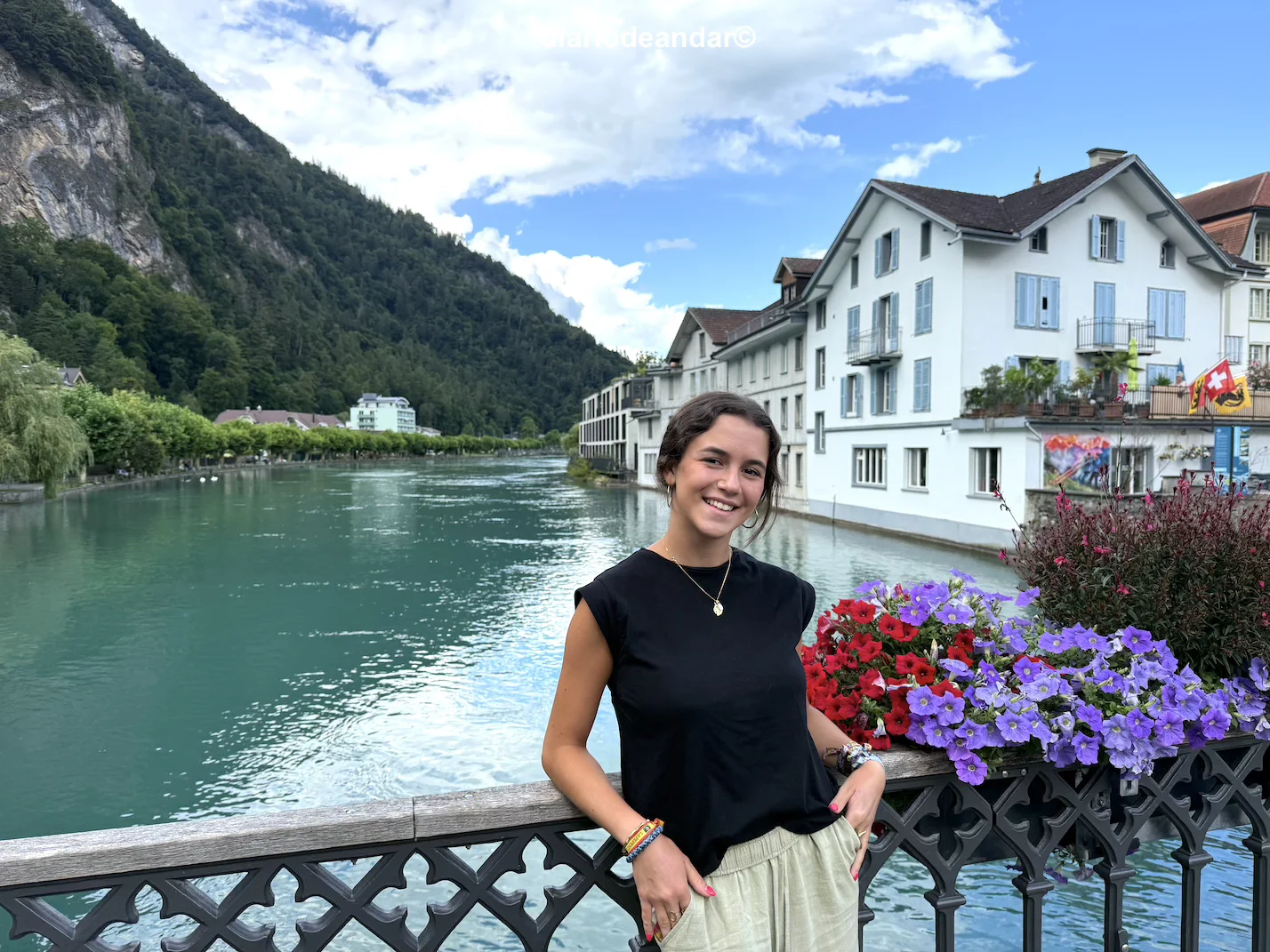 Viaje a Suiza en coche