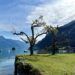 Vista del lago Brienz desde Iseltwald