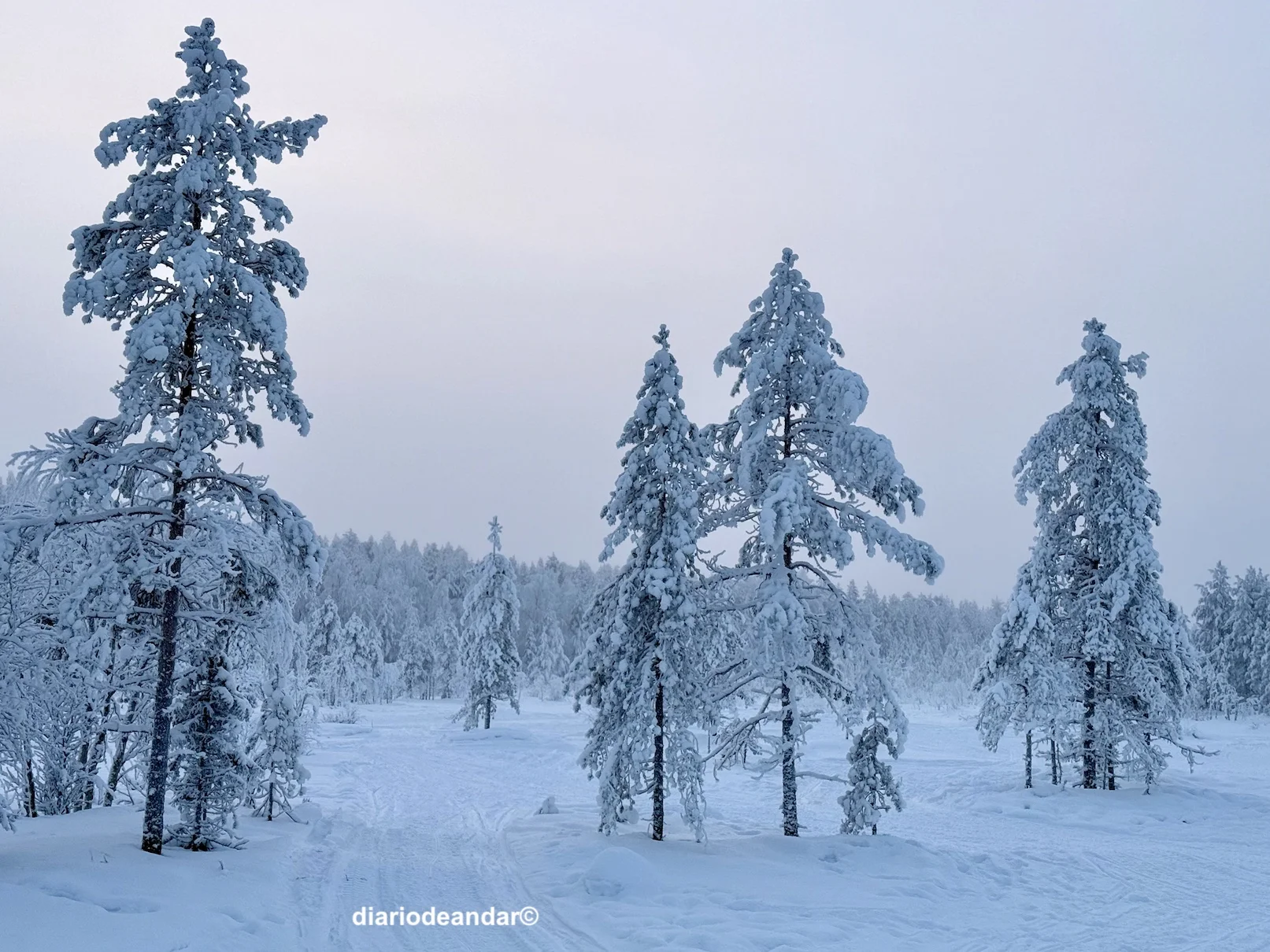 Tres días en Rovaniemi