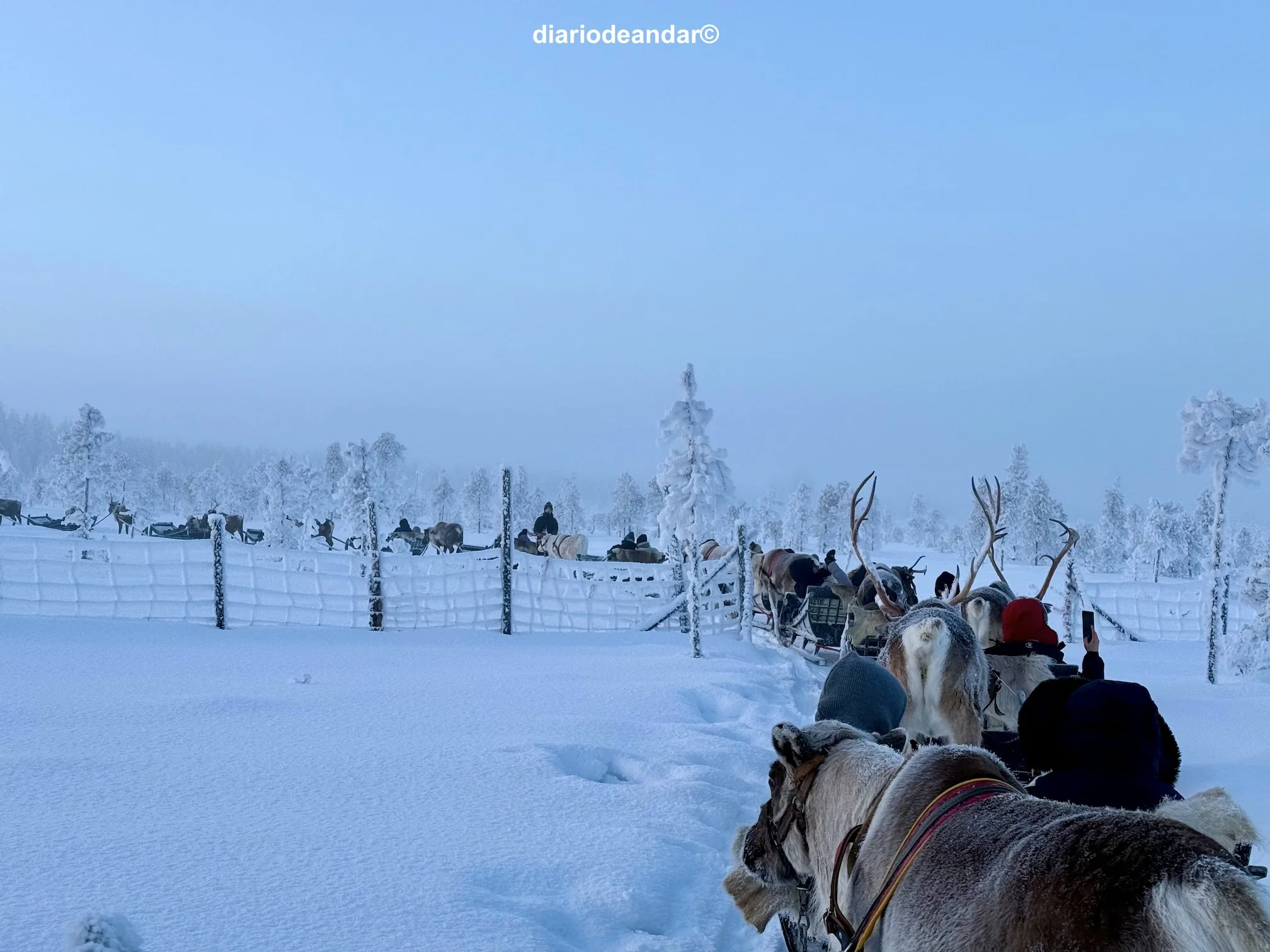 Tres días en Rovaniemi
