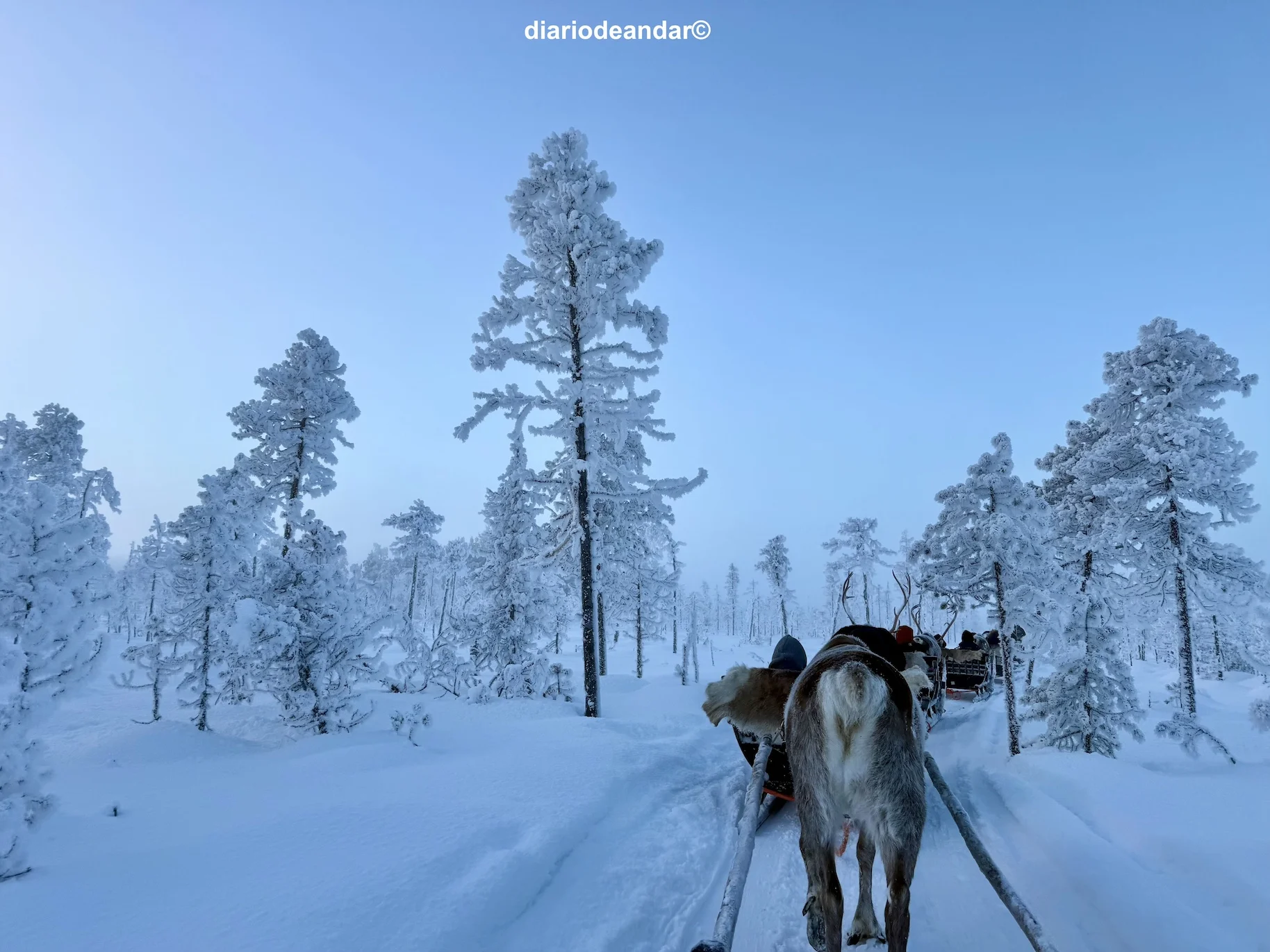 Tres días en Rovaniemi