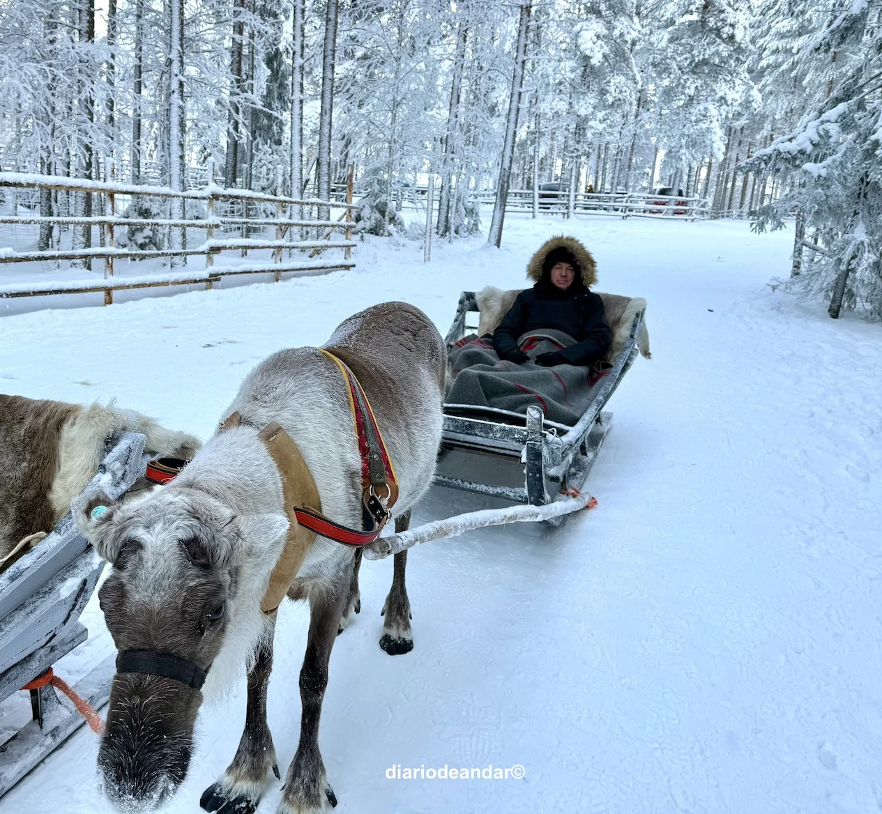 Tres días en Rovaniemi