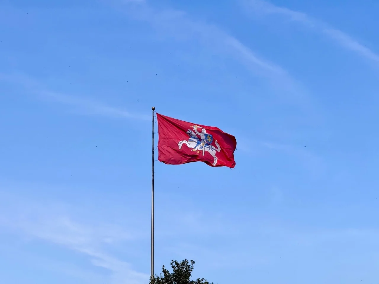 Bandera de Kaunas